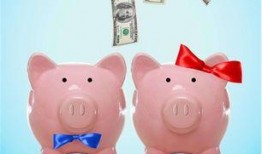 猪食记被爆料视频大全,揭秘视频爆料背后的真实故事