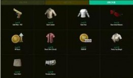 绝地求生通行证最新爆料,揭秘神秘内容与升级亮点